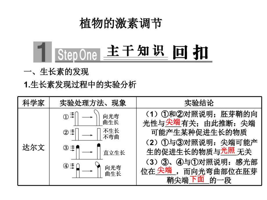 2011届高考生物专题突破复习-植物激素的调节上课_第3页