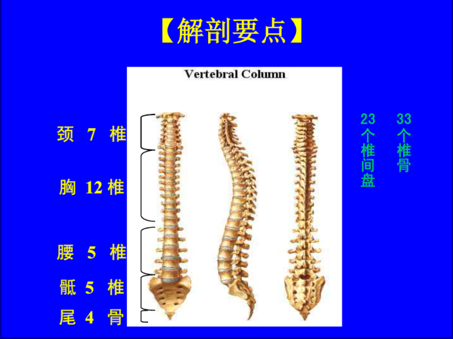 脊柱脊髓损伤及骨盆骨折ppt课件_第4页