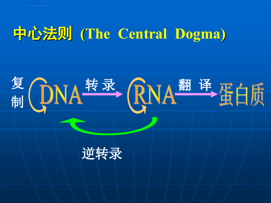 基因组组的结构与功能（6学时）_第2页