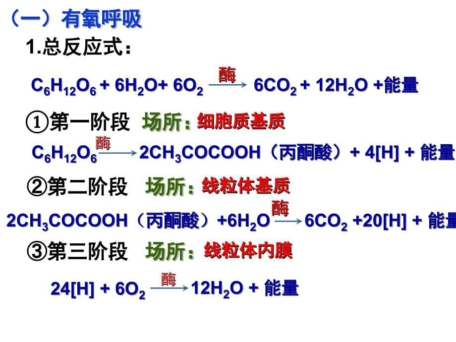 2012高考一轮复习《细胞呼吸》制作精美,内容全面,值得拥有_第5页