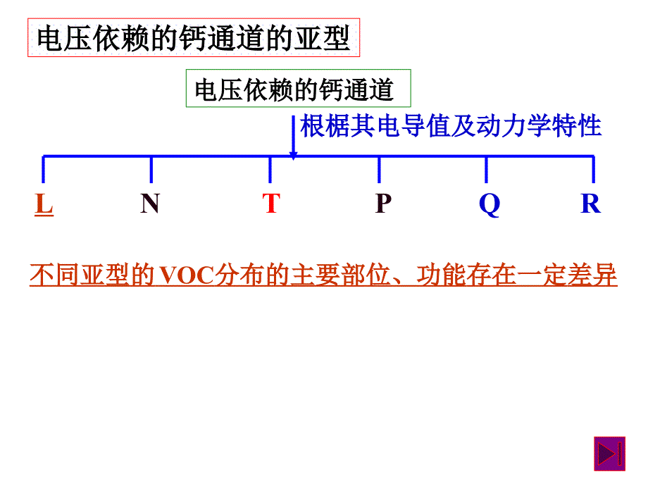 钙通道阻滞药ppt课件_第4页