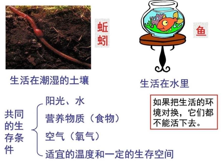 七年级生物生物的生活环境ppt培训课件_第5页