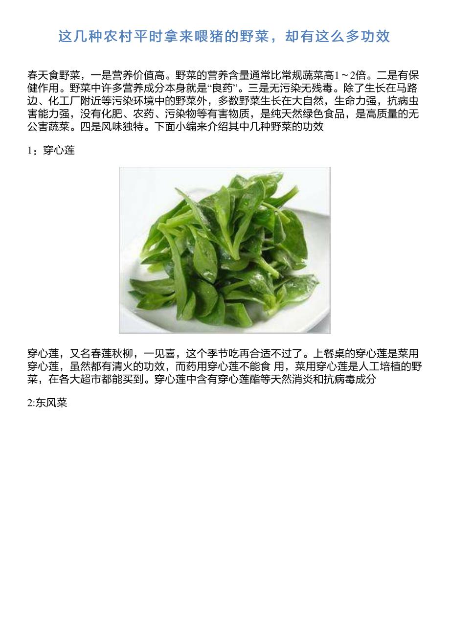 这几种农村平时拿来喂猪的野菜,却有这么多功效_第1页