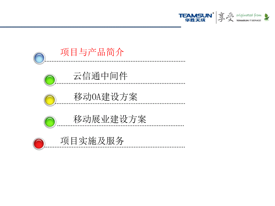 恒安标准人寿移动服务平台项目技术方案介绍—华胜天成_第2页