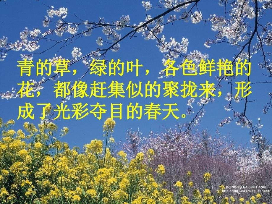 俊俏吹拂增添掠过_第5页