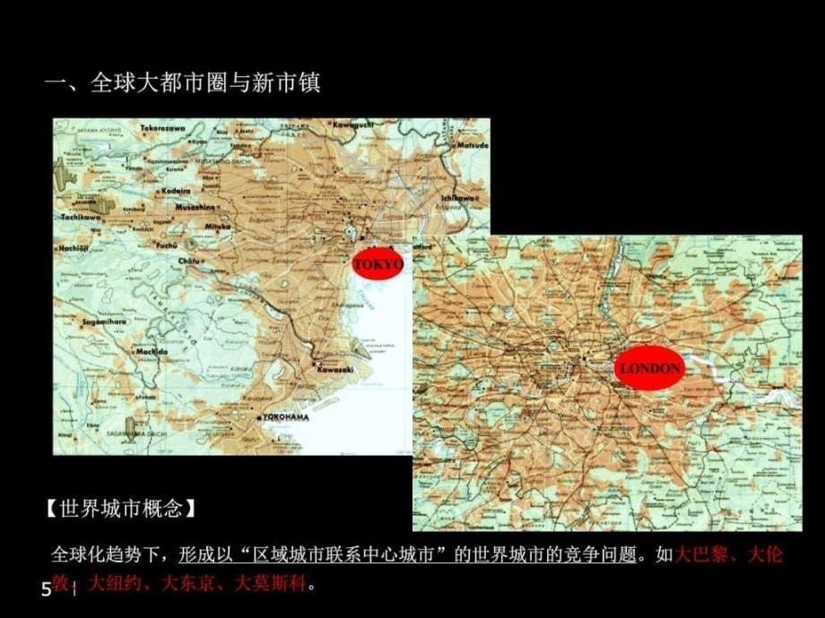 河北廊坊廊和坊项目品牌规划与运营方案109ppt_第5页