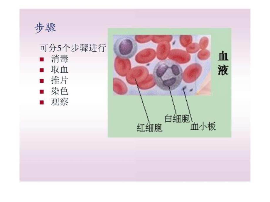 人血涂片的制作ppt培训课件_第3页