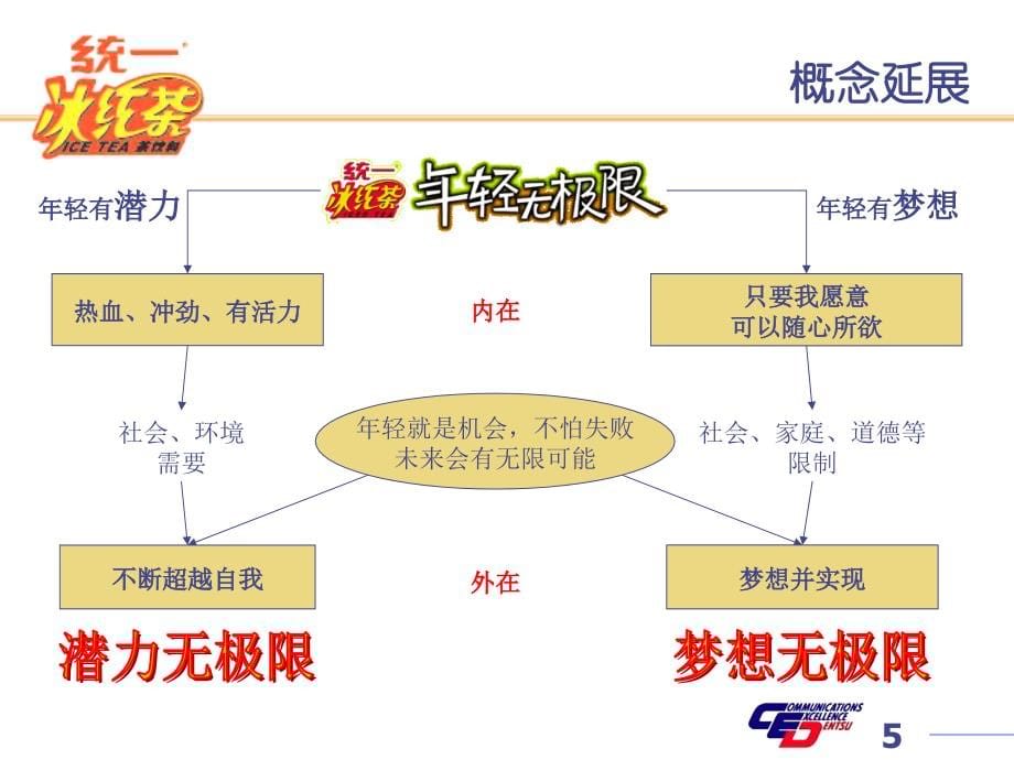 冰红茶推广方案(kaiser)_第5页