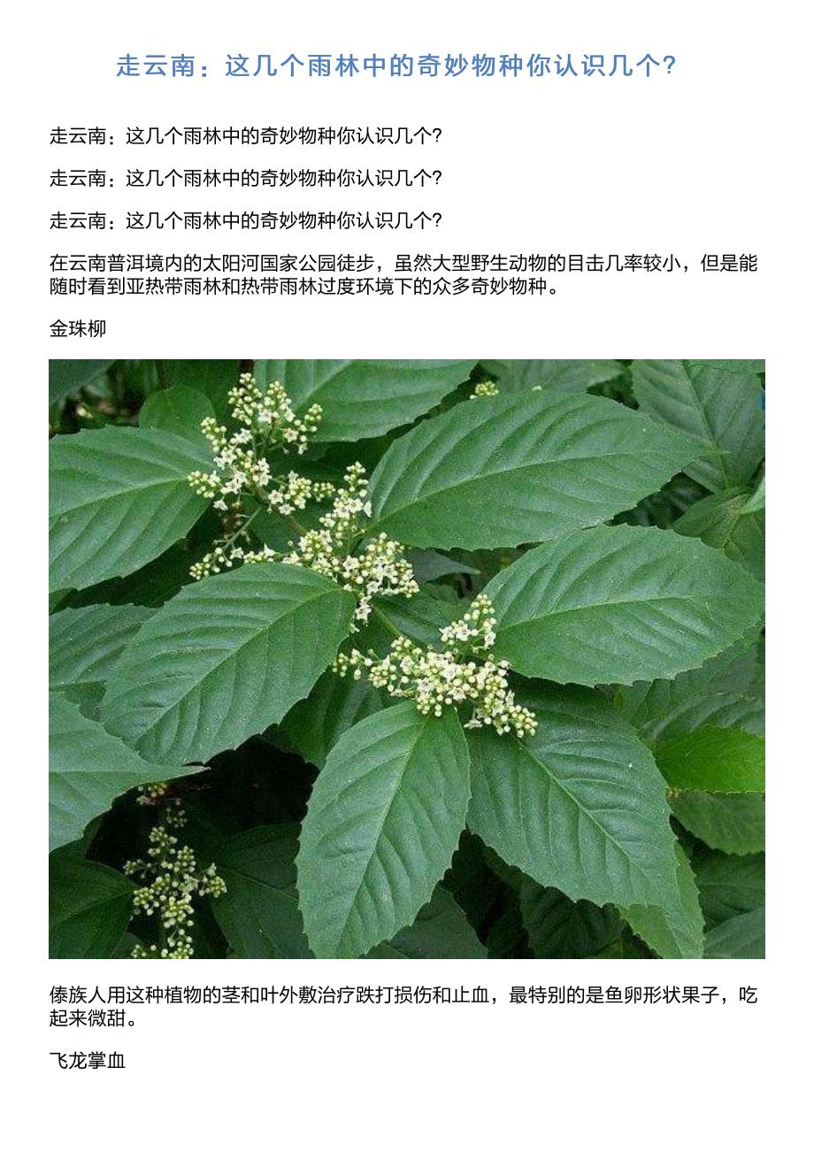 走云南：这几个雨林中的奇妙物种你认识几个？_第1页