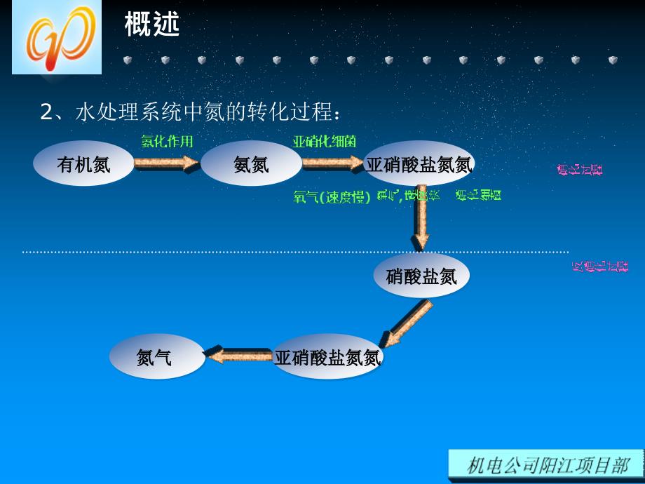 氨氮相关知识的培训_第4页