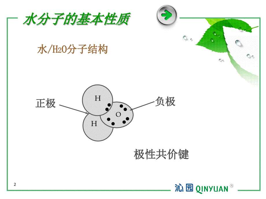 基本水的知识概述_第2页