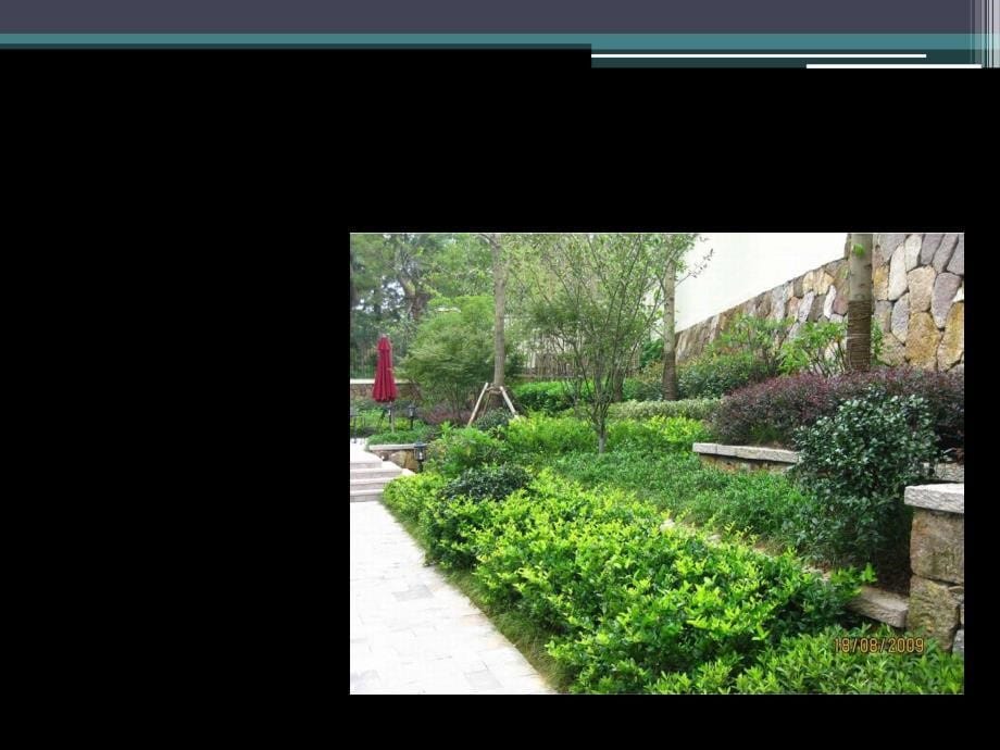 三标样板房区域景观绿化工程总结_第5页