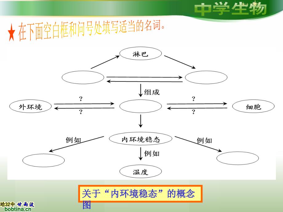 人体的稳态复习课_第2页