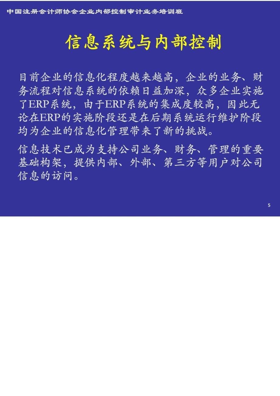 信息系统控制的测试_第5页