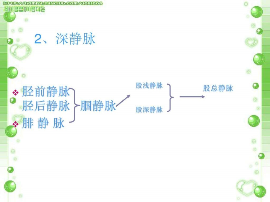 下肢大隐静脉曲张伴血栓性静脉炎ppt培训课件_第3页