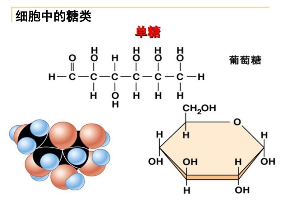 有机化合物及生物大分子ppt课件_第5页