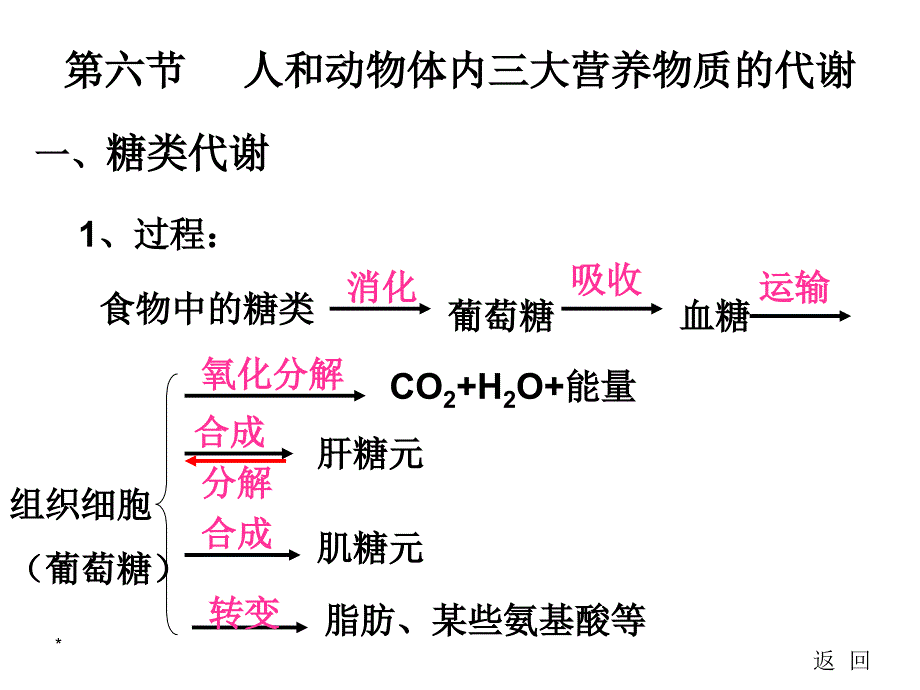 人和动物体内三大营养物质的代谢1_第3页