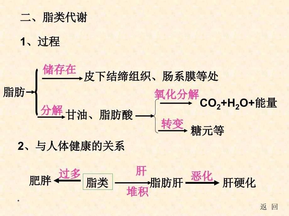 人和动物体内三大营养物质的代谢1_第5页