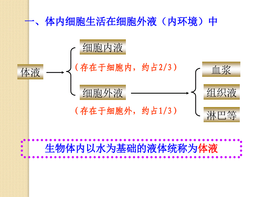 生物：1.1《细胞生活的环境》复习课件(新人教版必修3)_第4页