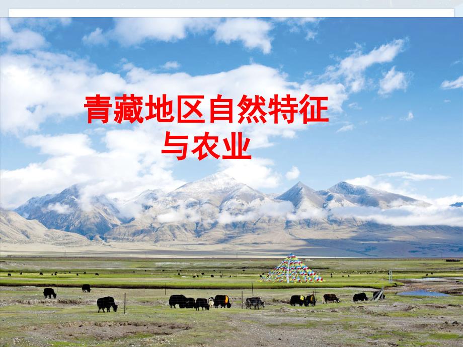 人教版地理八年级下册《青藏地区自然特征与农业》课件_第1页
