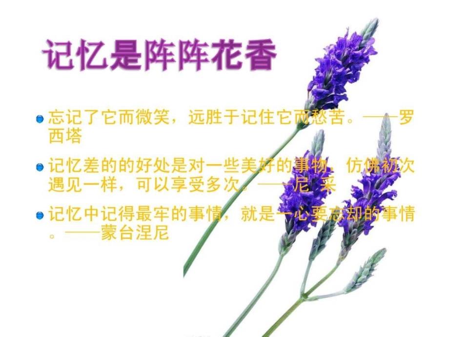 记忆的一般概念ppt培训课件_第3页