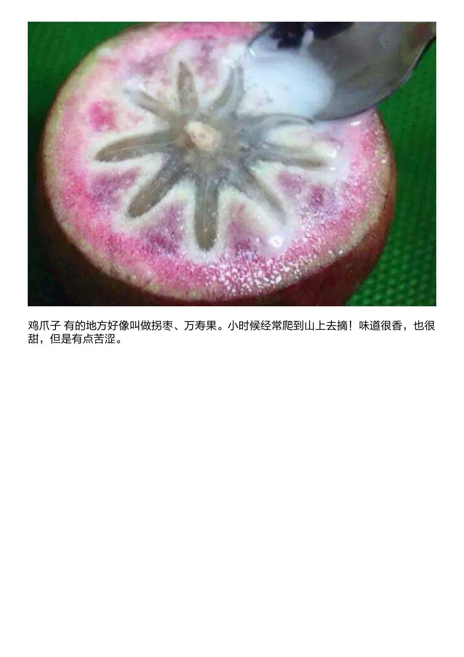 农村最特色的水果,你们见过吗_第2页