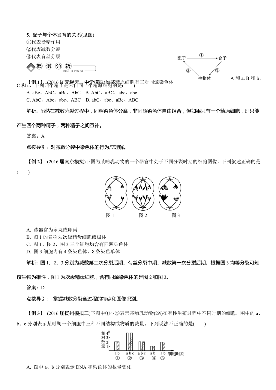 生物重点资料---教案修改_第3页