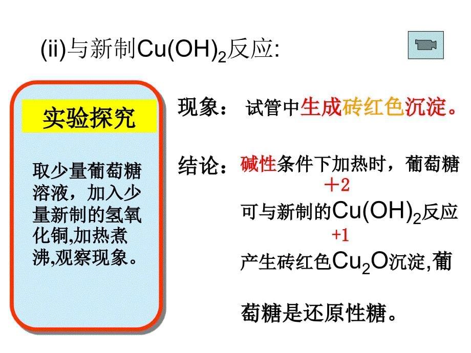 高二化学基本营养物质3_第5页