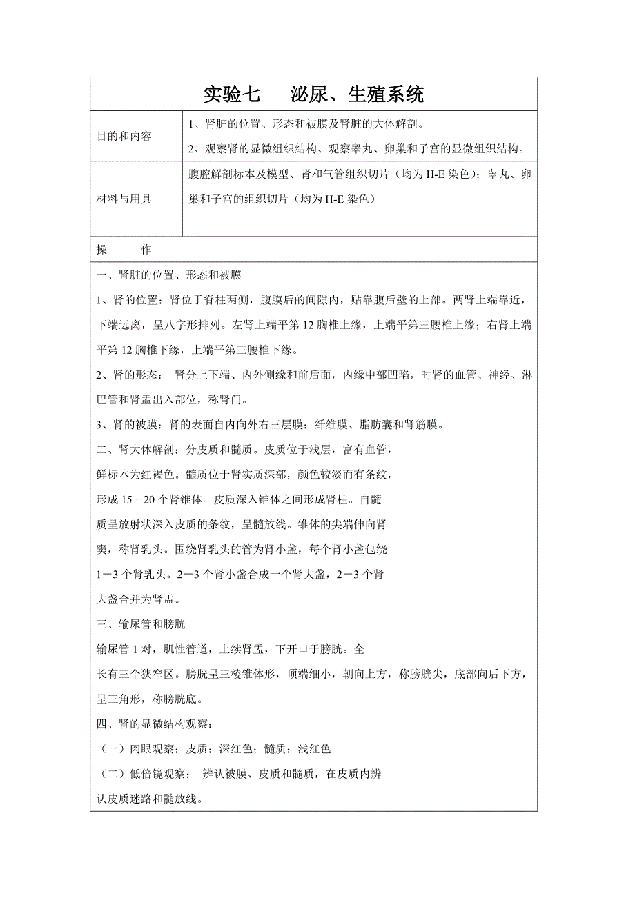 实验七泌尿、生殖系统_第1页