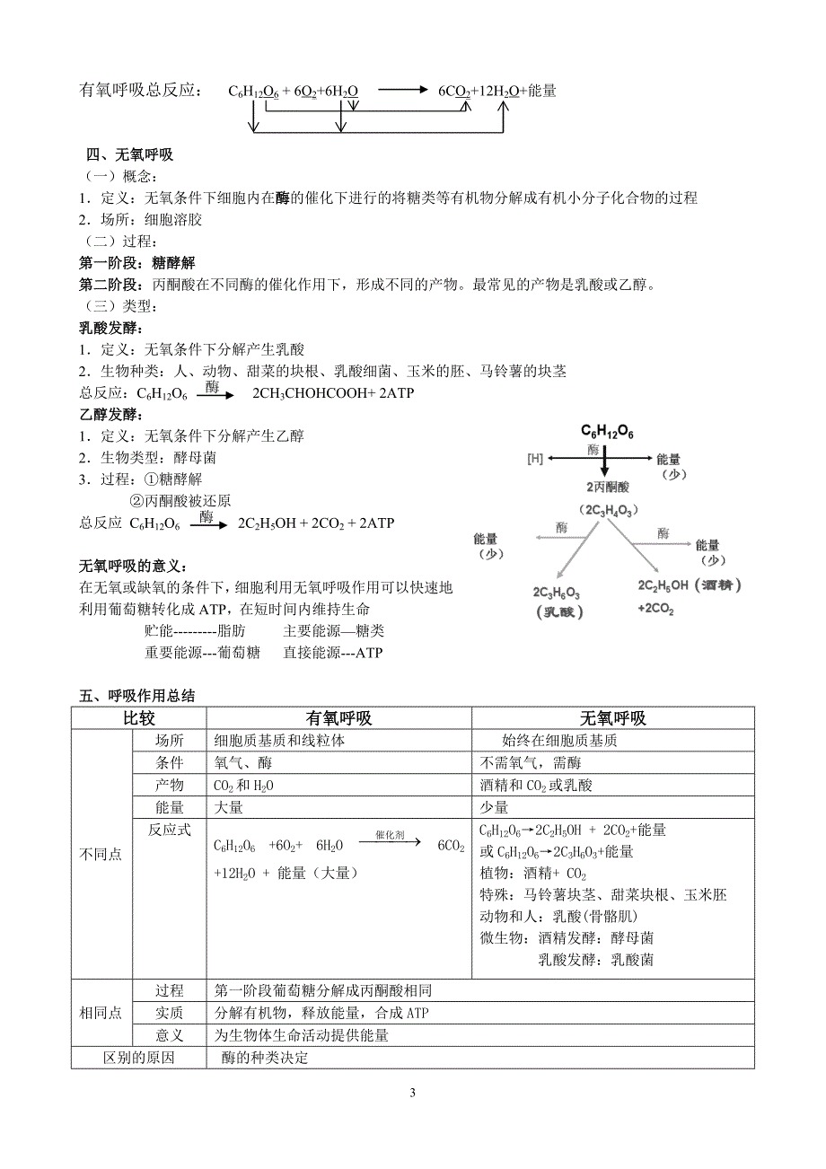 高三生物理科综合专题四细胞的能量“通货”-atp、细胞呼吸_第3页