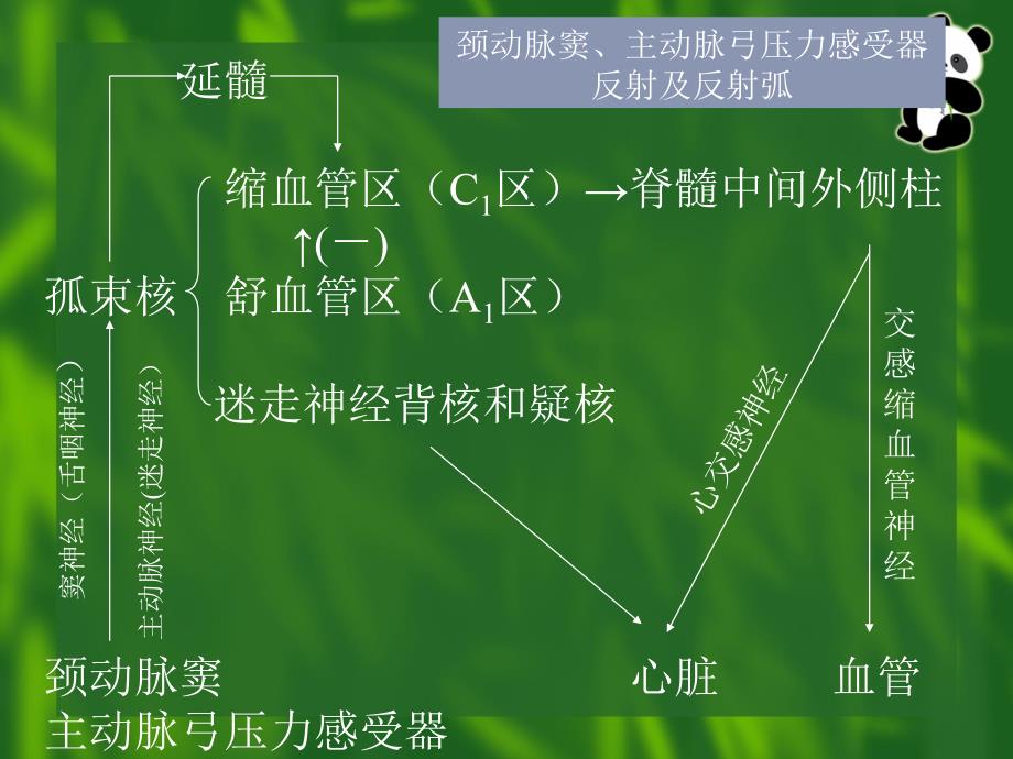 血液中o2分压_第3页