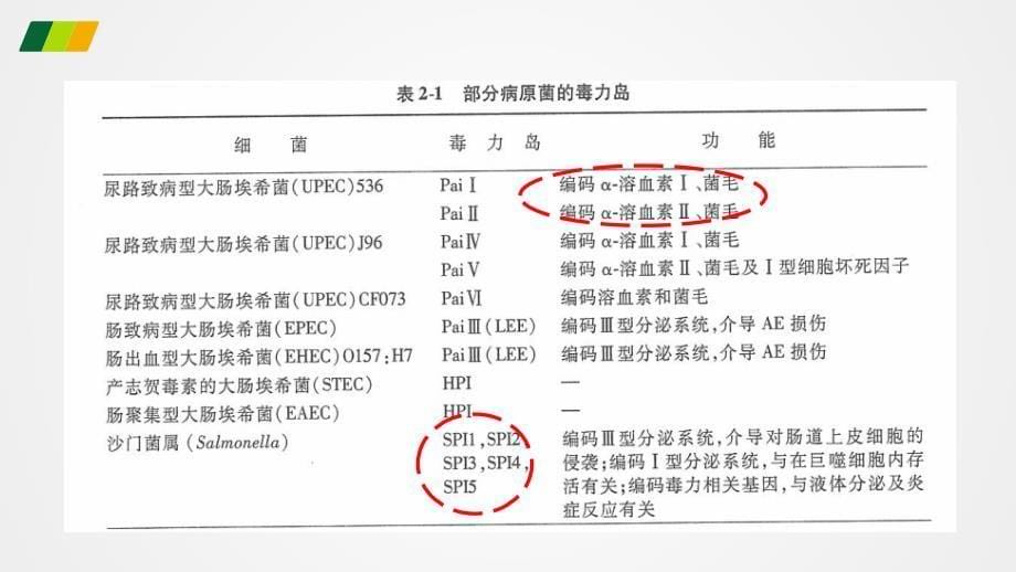 细菌的毒力岛ppt课件_第5页