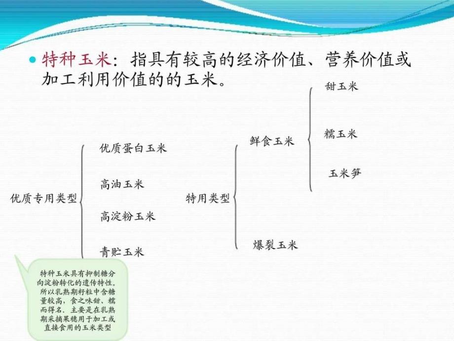 鲜食玉米ppt培训课件_第4页