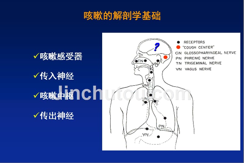 咳嗽的诊断与治疗_第4页