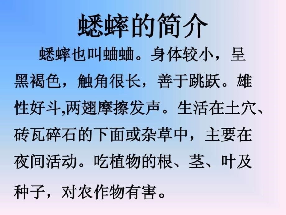 蟋蟀的住宅ppt课件（1）人教新课标小学语文四年级上册_第5页