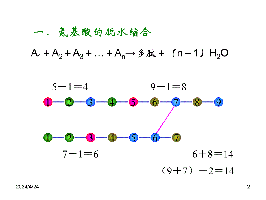 生物学中的数学计算_第2页