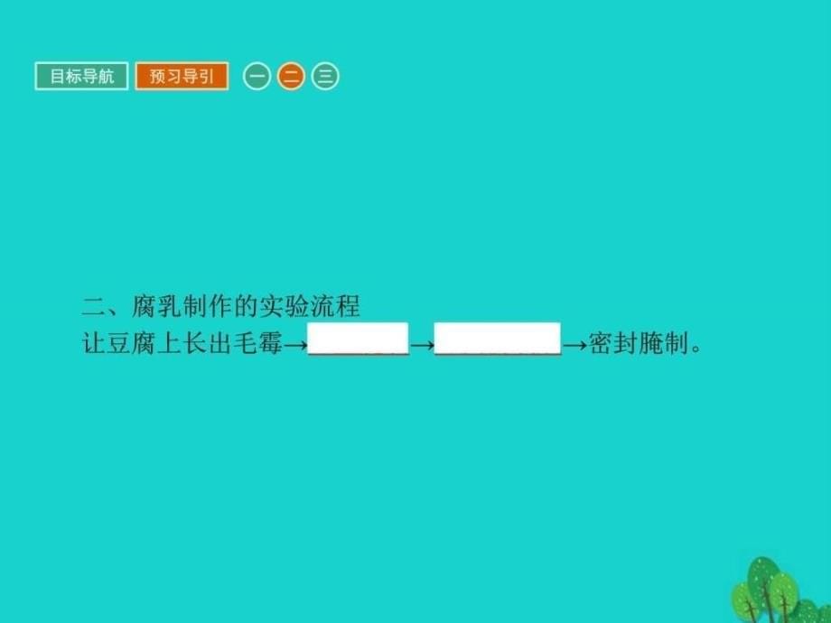 2017春高中生物专题1传统发酵技术的应用课题2腐乳的制作课件新人教版选修1资料_第5页