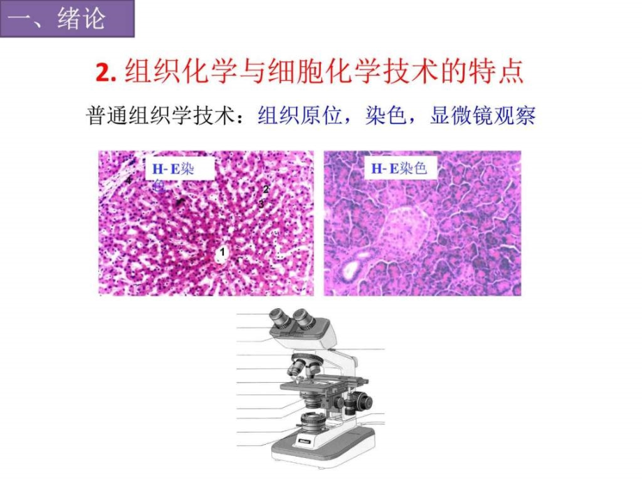 2016现代组织化学技术组织化学ppt培训课件_第4页