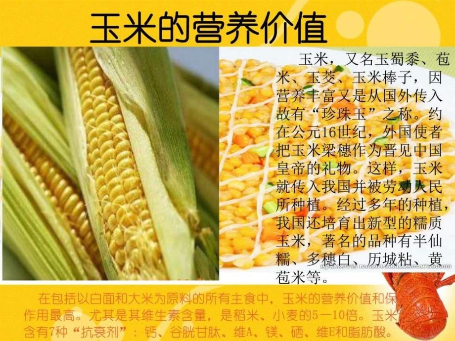 玉米营养价值及作用饮食生活休闲ppt培训课件_第1页
