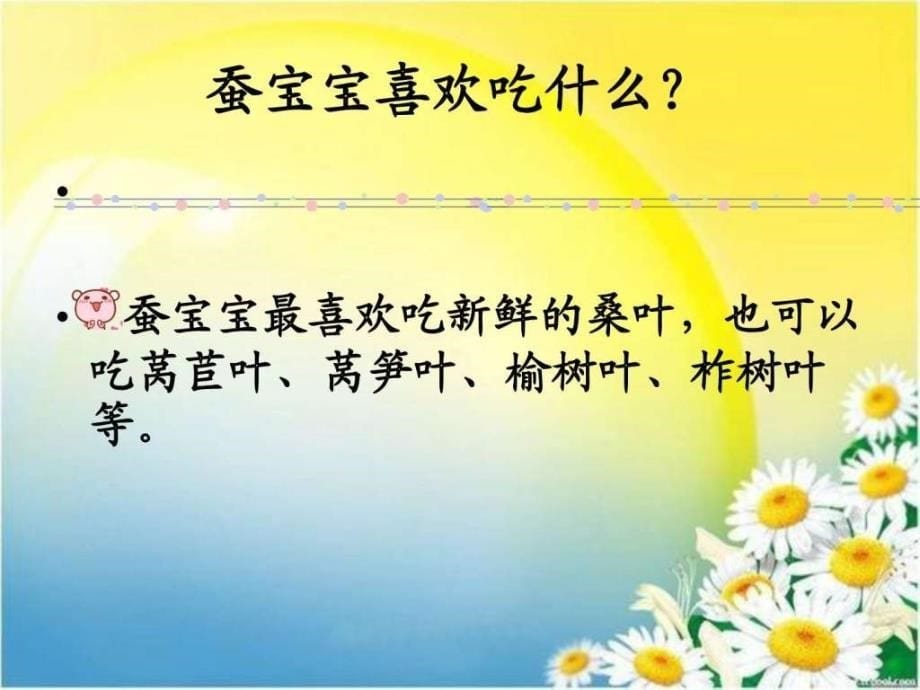 苏教版科学四下《我们来养蚕》ppt课件_第5页