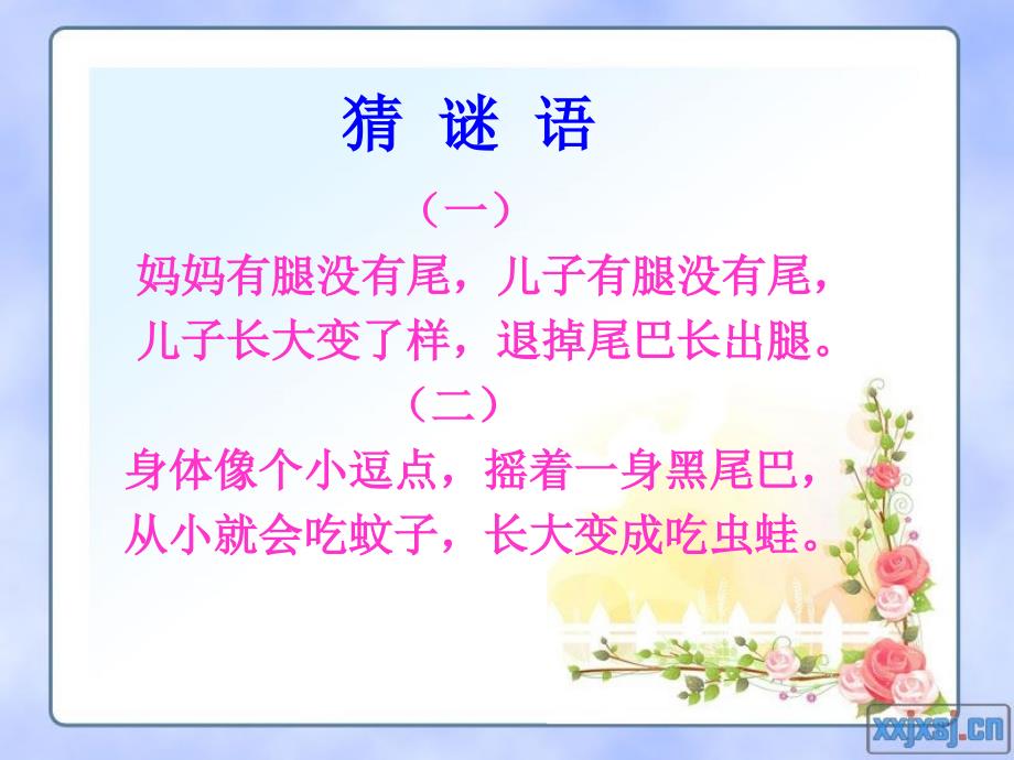 小学体育《立定跳远》ppt_第2页