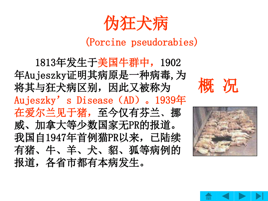 生物技术猪病防治伪狂犬病_第1页