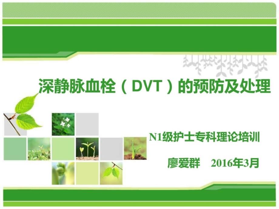 深静脉血栓（dvt）的预防及处理ppt培训课件_第1页