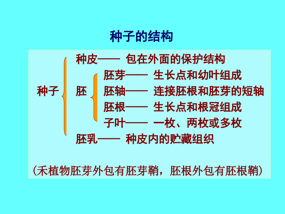 经济作物器官建成_第3页