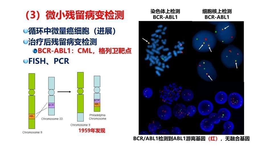 肿瘤-4＿肿瘤病因与发病机制_第5页