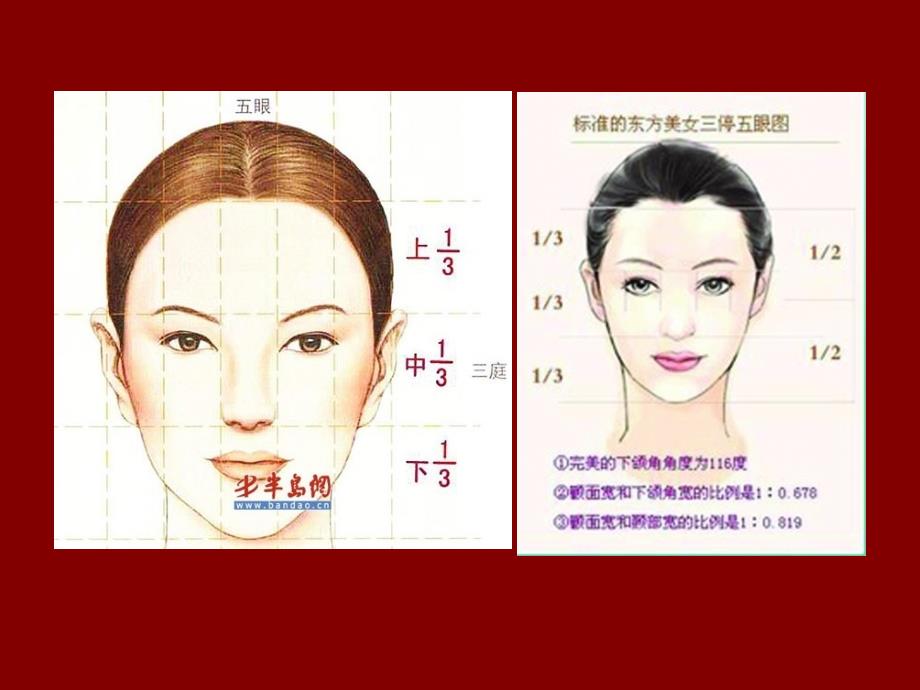 卡通造型基础(3)人体头部_第4页