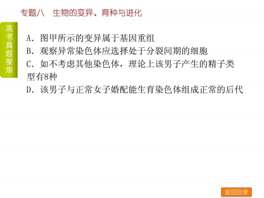 课件（新课标通用）专题八生物的变异育种与进化_第4页