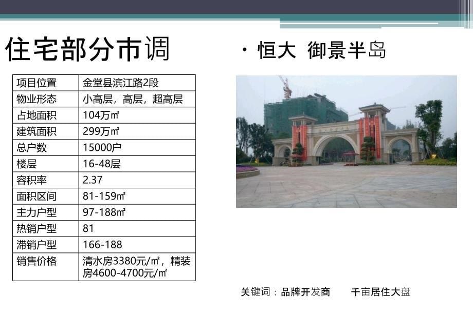 2011年11月金堂市调整理终稿_第5页