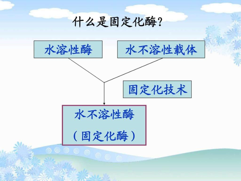 酶及细胞固定化课件_第2页