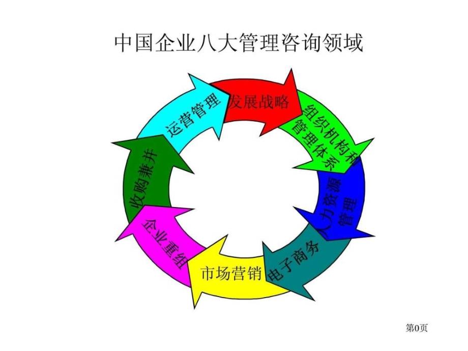 罗兰贝格中国企业管理咨询提要课件_第1页